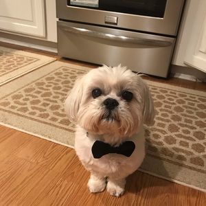 Meet your Posher, Marian